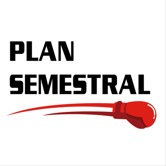 Plan Semestral: Matrícula $10.000 + Plan $250.000